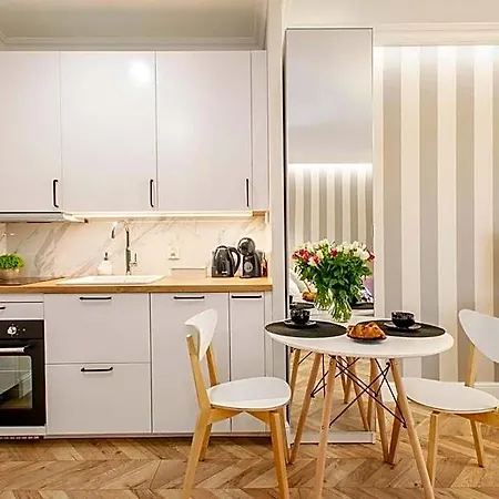 Sky Home- Rose -manufaktura, Bezplatny Parking, Klima, Dostep Na Kod 3* לודז'